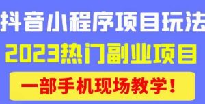 抖音小程序9.0新技巧，2023热门副业项目，动动手指轻松变现-八爪鱼资源库