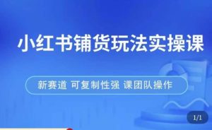 小红书铺货玩法实操课，流量大，竞争小，非常好做，新赛道，可复制性强，可团队操作-八爪鱼资源库