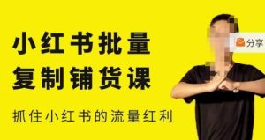 张宾·小红书批量复制铺货课，小红书0-1快速起号变现玩法，抓住小红书的流量红利（更新2023年3月）-八爪鱼资源库
