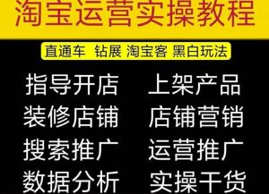 2023淘宝开店教程0基础到高级全套视频网店电商运营培训教学课程-八爪鱼资源库