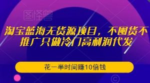 淘宝蓝海无货源项目，不囤货不推广只做冷门高利润代发，花一半时间赚10倍钱-八爪鱼资源库