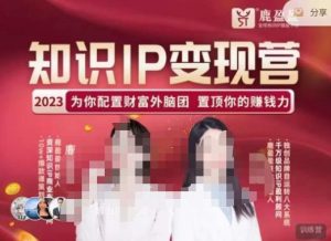 鹿盈盈-知识IP变现实操营，​普通人可复制的知识产品落地实操课，​带你打通知识IP变现底层逻辑-八爪鱼资源库