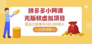 黄岛主·拼多多小网课无版权虚拟项目分享课：起店之后每天100-200收入-八爪鱼资源库