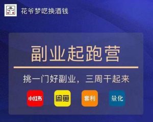 花爷-副业起跑营第2期，挑一门好副业，三周干起来（闲鱼｜小红书｜量化｜套利）-八爪鱼资源库