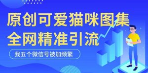 黑科技纯原创可爱猫咪图片,全网精准引流,实操5个VX号被加频繁-八爪鱼资源库