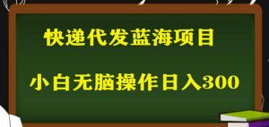 2023最新蓝海快递代发项目，小白零成本照抄也能日入300+-八爪鱼资源库