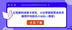 正规暴利流量卡项目，小白零基础零成本无脑照抄也能日入300+【揭秘】-八爪鱼资源库