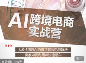 白龙老师·AI跨境电商实战营：从0-1精通Al的真正有效电商玩法，卖家如何利用Al快速超车-八爪鱼资源库