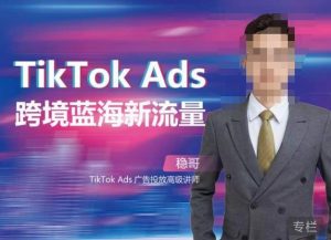 稳哥·如何投出高ROI的TikTok广告，开拓独立站卖家流量新蓝海-八爪鱼资源库