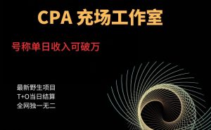 cpa充场工作室，号称单日收入10000+（揭秘）-八爪鱼资源库