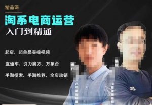 2023手淘搜索实操课+体系化课程，​起店起单品实操视频课程-八爪鱼资源库