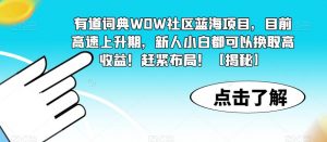 有道词典WOW社区蓝海项目，目前高速上升期，新人小白都可以换取高收益！赶紧布局！【揭秘】-八爪鱼资源库