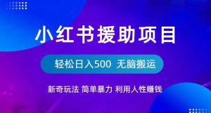 小红书援助项目新奇玩法，简单暴力，无脑搬运轻松日入500【揭秘】-八爪鱼资源库