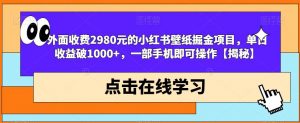 外面收费2980元的小红书壁纸掘金项目，单日收益破1000+，一部手机即可操作【揭秘】-八爪鱼资源库