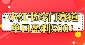 小红书冷门赛道，单日盈利500+【揭秘】-八爪鱼资源库