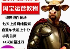 猫老师·淘系算法逆向解密，​纯黑纯白玩法，七天上首页纯搜索，手淘首页14天流量过万-八爪鱼资源库