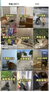 拆解：抖音盘点类中视频变现副业项目，视频版一条龙大解析分享给你-八爪鱼资源库