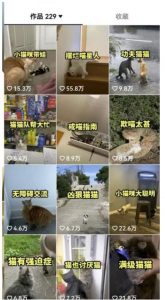 拆解抖音盘点类中视频变现副业项目，视频版一条龙大解析分享给你【视频课程】-八爪鱼资源库