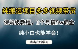 纯搬运项目多多视频带货保姆级教程,1个月搞5w佣金,纯小白也能学会【揭秘】-八爪鱼资源库