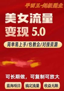 TK美女短视频变现项目无限复制（升级版），全网最高性价比项目【揭秘】-八爪鱼资源库