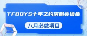 最新蓝海项目，靠最近非常火的TFBOYS十年之约演唱会流量掘金，八月必做的项目【揭秘】-八爪鱼资源库