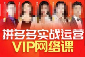 推易拼多多VIP全套直播课程，拼多多店铺实操玩法+实战玩法选款内功+直通车高阶等-八爪鱼资源库