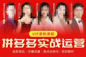 2023推易拼多多实战运营，选款测品、引爆流量、高点击转化、规则解析-八爪鱼资源库