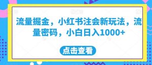 流量掘金，小红书注会新玩法，流量密码，小白日入1000+【揭秘】-八爪鱼资源库