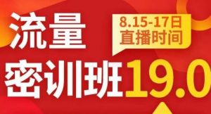 秋秋线上流量密训班19.0，打通流量关卡，线上也能实战流量破局-八爪鱼资源库