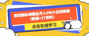 靠短剧私域掘金月入5W小白闭眼做（教程+2T资料）-八爪鱼资源库