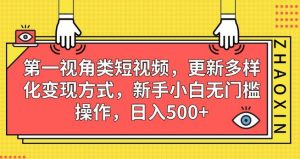 第一视角类短视频，更新多样化变现方式，新手小白无门槛操作，日入500+【揭秘】-八爪鱼资源库