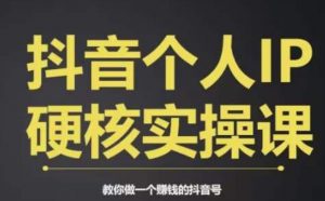 个人IP创富系统实战课，商业定位，流量打造，短视频变现，教你做个赚钱的抖音号-八爪鱼资源库