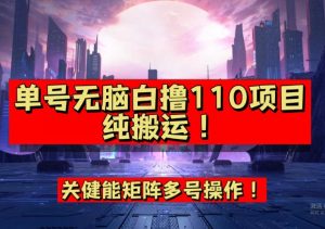 9月全网首发,单号直接白撸110!可多号操作,无脑搬运复制粘贴【揭秘】-八爪鱼资源库