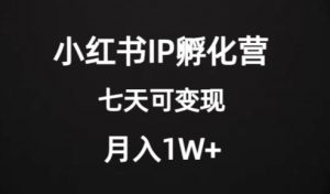 价值2000+的小红书IP孵化营项目，超级大蓝海，七天即可开始变现，稳定月入1W+-八爪鱼资源库