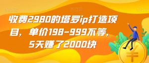 收费2980的塔罗ip打造项目,单价198-999不等,5天赚了2000块【揭秘】-八爪鱼资源库