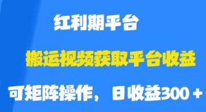 搬运视频获取平台收益，平台红利期，附保姆级教程【揭秘】-八爪鱼资源库