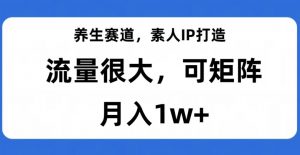 养生赛道，素人IP打造，流量很大，可矩阵，月入1w+【揭秘】-八爪鱼资源库