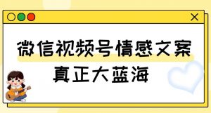 视频号情感文案，真正大蓝海，简单操作，新手小白轻松上手（教程+素材）【揭秘】-八爪鱼资源库