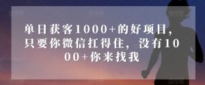 单日获客1000+的好项目，只要你微信扛得住，没有1000+你来找我【揭秘】-八爪鱼资源库