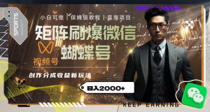 矩阵刷爆微信蝴蝶号创作者分成计划收益的新玩法，日入2000+【揭秘】-八爪鱼资源库