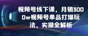 视频号线下课，月销3000w视频号单品打爆玩法，实操全解析-八爪鱼资源库