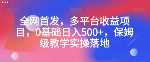 全网首发，多平台收益项目，0基础日入500+，保姆级教学实操落地【揭秘】-八爪鱼资源库