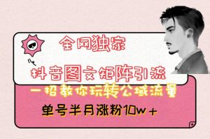全网独家抖音图文矩阵引流，一招教你玩转公域流量，单号半月涨粉10w+【揭秘】-八爪鱼资源库