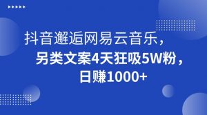 抖音邂逅网易云音乐，另类文案4天狂吸5W粉，日赚1000+【揭秘】-八爪鱼资源库