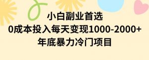 小白副业首选，0成本投入，每天变现1000-2000年底暴力冷门项目【揭秘】-八爪鱼资源库