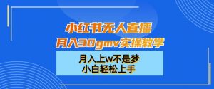 小红书无人直播月入30gmv实操教学，月入上w不是梦，小白轻松上手【揭秘】-八爪鱼资源库