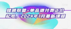 臻曦联盟-单品微付费正价起号，2024年1月最新课程-八爪鱼资源库