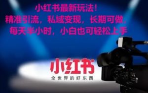 小红书最新玩法!精准引流,私域变现,长期可做,每天半小时,小白也可轻松上手【揭秘】-八爪鱼资源库