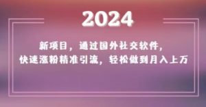 2024新项目，通过国外社交软件，快速涨粉精准引流，轻松做到月入上万【揭秘】-八爪鱼资源库