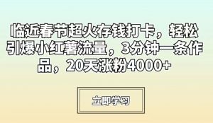 临近春节超火存钱打卡，轻松引爆小红薯流量，3分钟一条作品，20天涨粉4000+【揭秘】-八爪鱼资源库